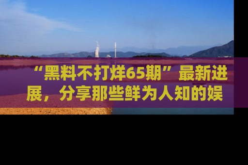 “黑料不打烊65期”最新进展，分享那些鲜为人知的娱乐八卦