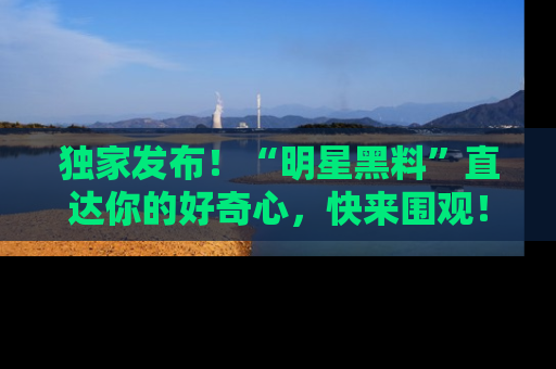 独家发布！“明星黑料”直达你的好奇心，快来围观！