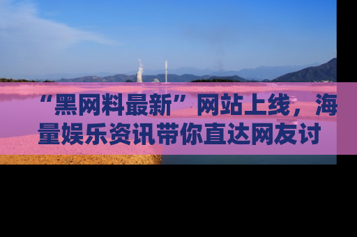 “黑网料最新”网站上线,海量娱乐资讯带你直达网友讨论的中心!