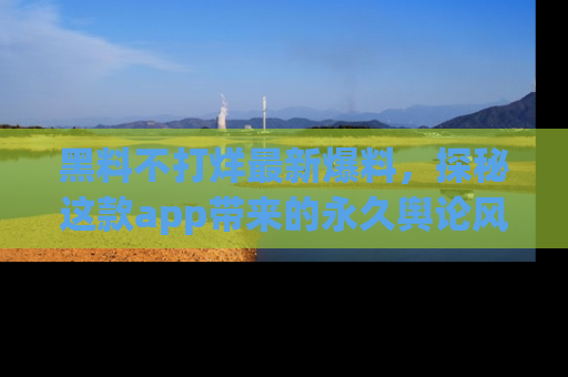 黑料不打烊最新爆料，探秘这款app带来的永久舆论风暴