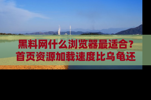 黑料网什么浏览器最适合？首页资源加载速度比乌龟还慢的体验真心吐槽！
