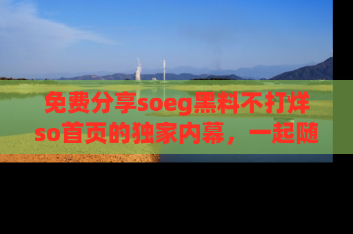 免费分享soeg黑料不打烊so首页的独家内幕,一起随时吃瓜吧!