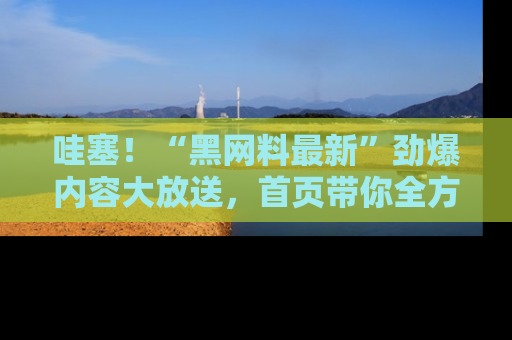 哇塞！“黑网料最新”劲爆内容大放送，首页带你全方位了解哦，小可爱们
