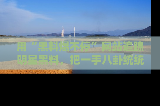 用“黑料爆不停”网站追踪明星黑料，把一手八卦统统收进你的后宫中！