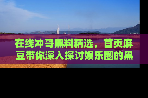 在线冲哥黑料精选,首页麻豆带你深入探讨娱乐圈的黑暗面