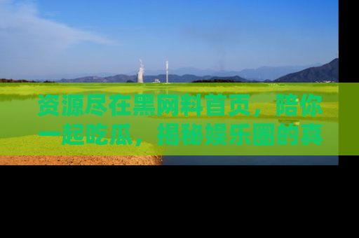 资源尽在黑网料首页,陪你一起吃瓜,揭秘娱乐圈的真实内幕